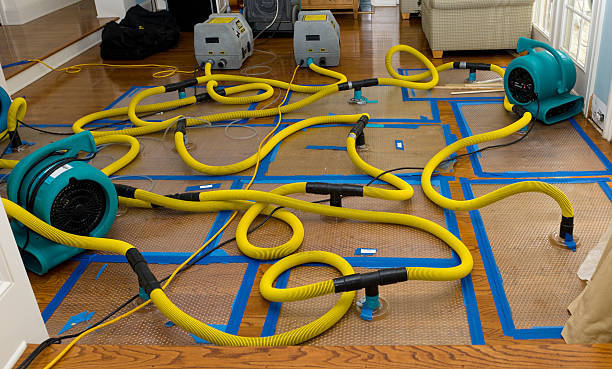 Professional Basement Flood Cleanup technician working in Camp Sherman, OR